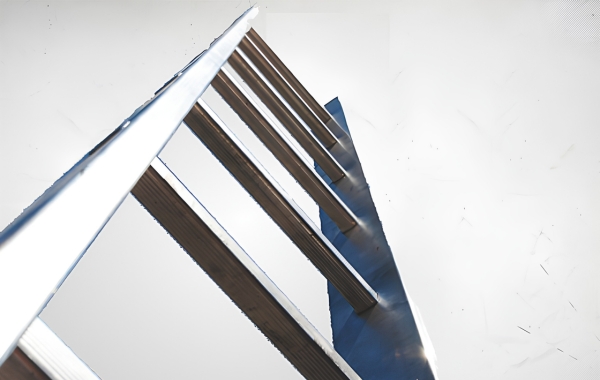Ladder