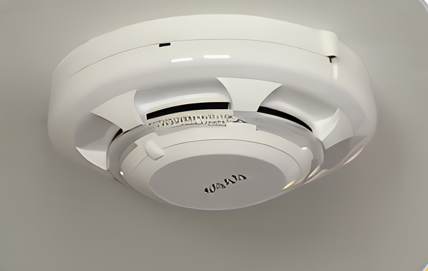 Heat and smoke detector